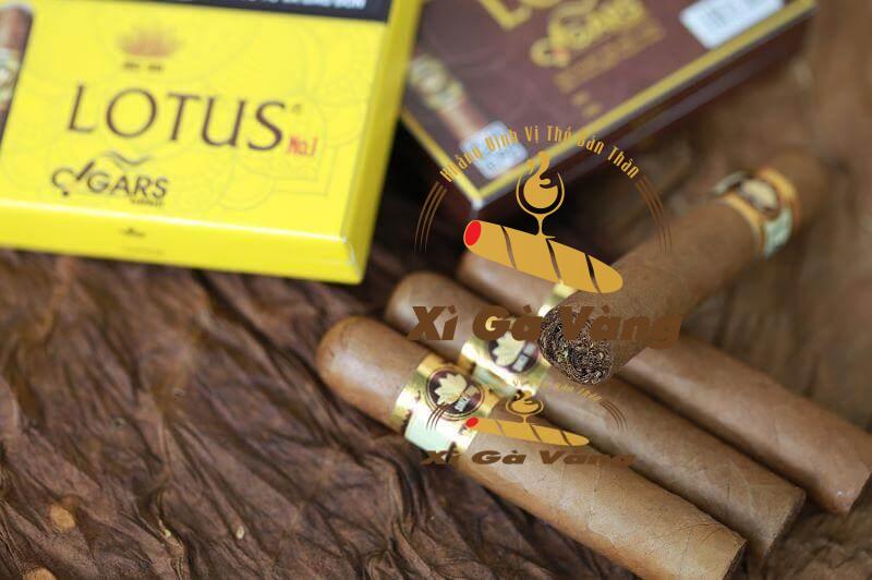 Những điếu xì gà Lotus mini hộp sắt đến từ thương hiệu Việt Vinataba